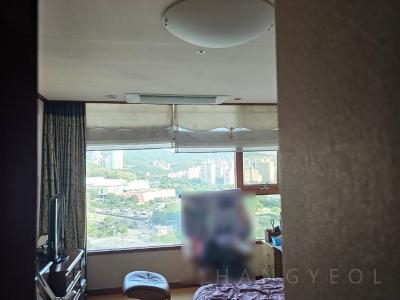 경기도 성남시 분당구 정자동 삼성아데나팰리스아파트 시스템에어컨 기타