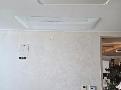 부산광역시 강서구 명지동 명지1차 금강펜테리움 센트럴파크 시스템에어컨 기타