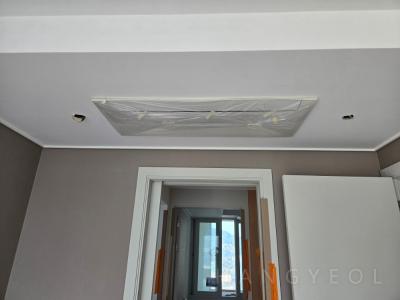 경기도 성남시 분당구 정자동 삼성아데나팰리스아파트 시스템에어컨 기타