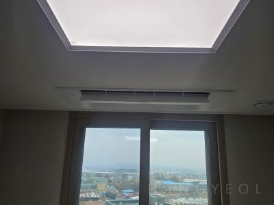경기도 안성시 공도읍 해링턴플레이스진사 시스템에어컨 실내기