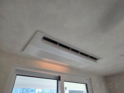경기도 용인시 기흥구 중동 동백아펠바움3차 시스템에어컨 실내기