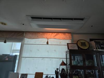 서울특별시 강남구 도곡동 타워팰리스 시스템에어컨 실내기