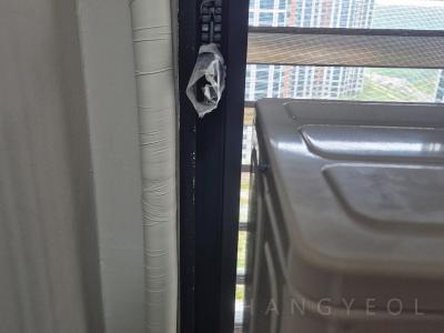 경기도 평택시 장안동 로제비앙 엘가 더퍼스트 시스템에어컨 실외기